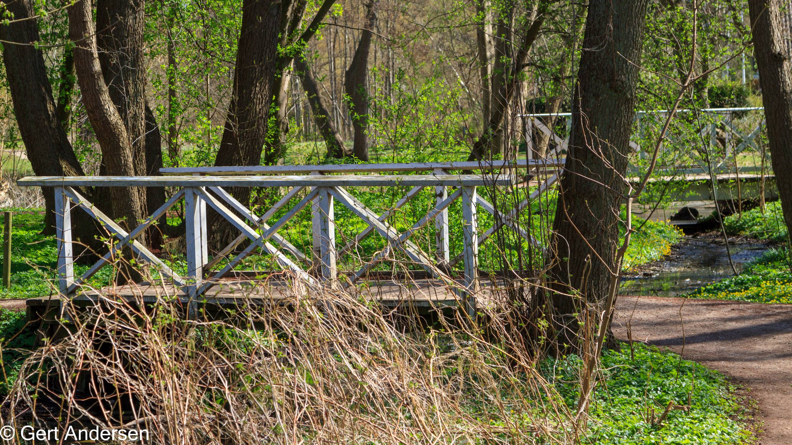 Lyngby Sø (37 of 37) compressed